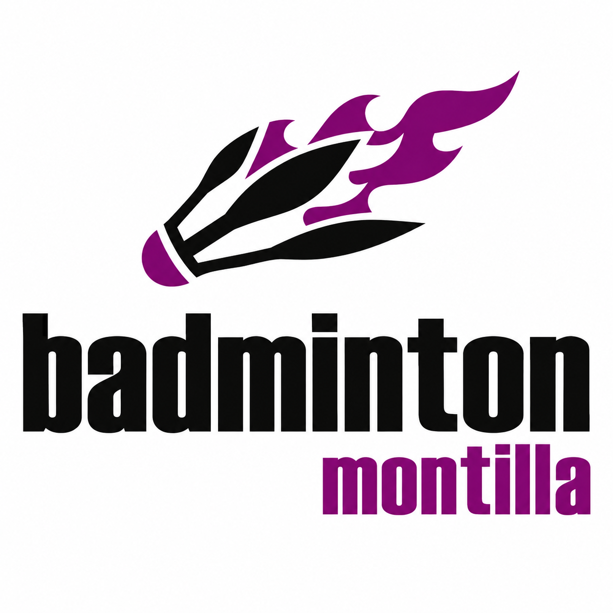 BADMINTON MONTILLA